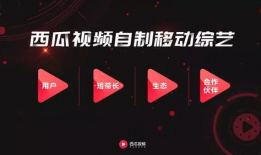 西瓜视频是哪个公司的,字节跳动旗下短视频平台的崛起之路